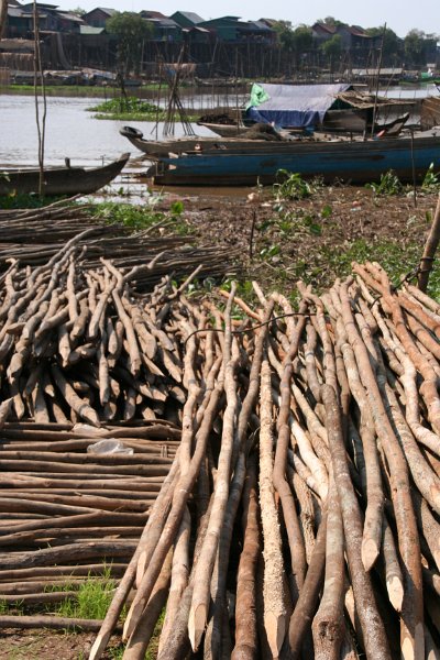 Day 14 - Cambodia - Floating Village 111